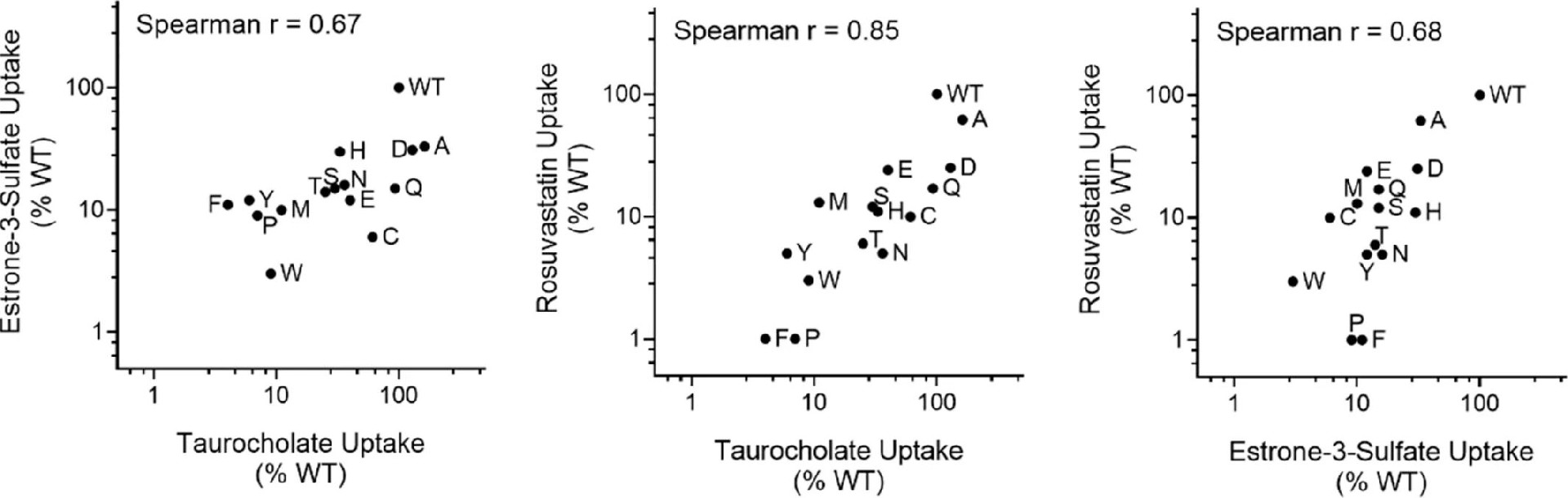 图6:G102X的底物特异性