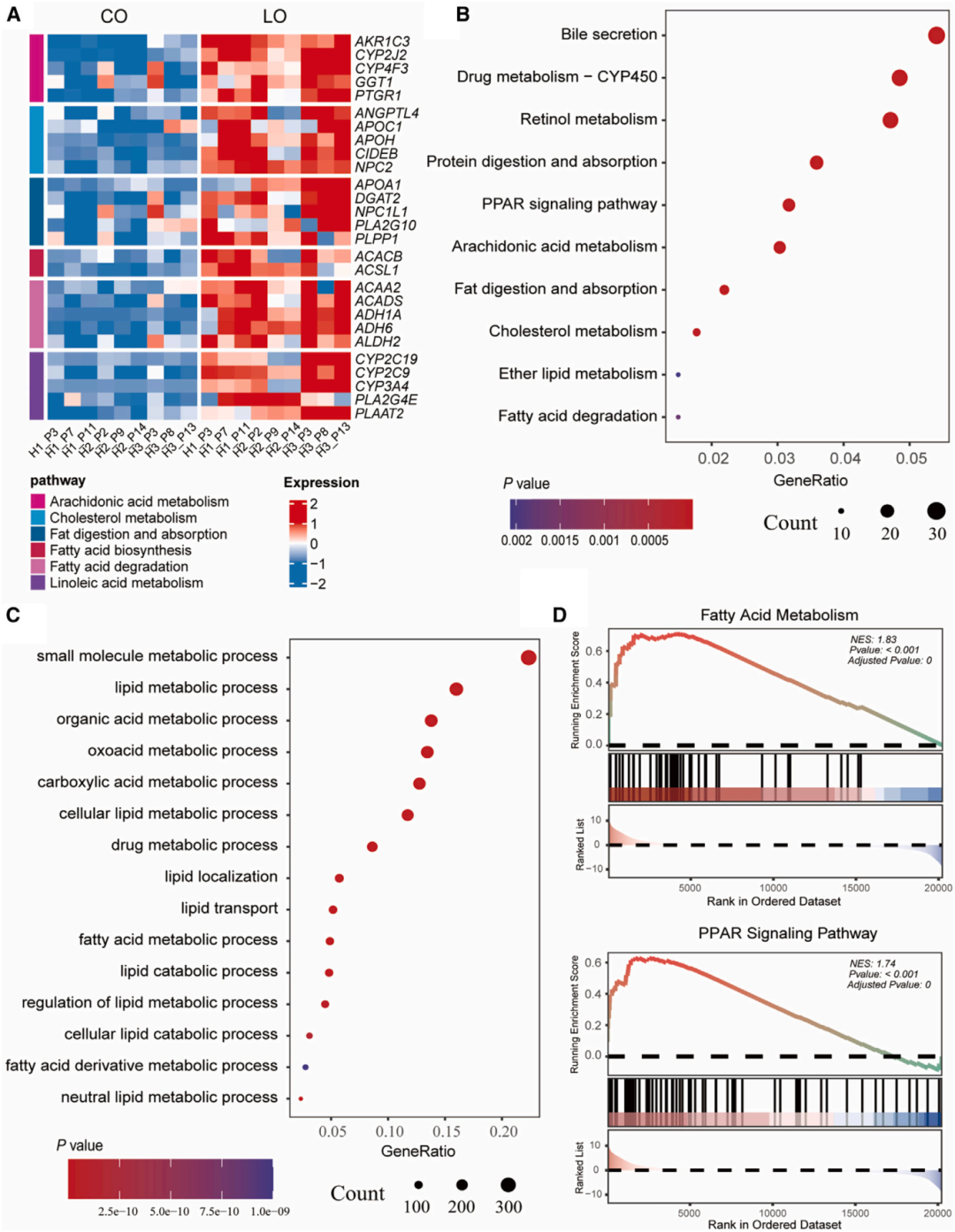 2，LOs的转录组分析揭示其脂质代谢能力。