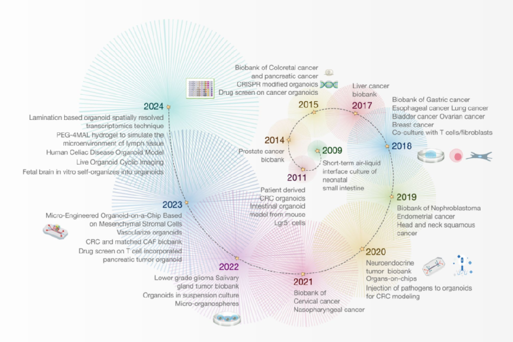 1，类器官的发展历程与构建方法。