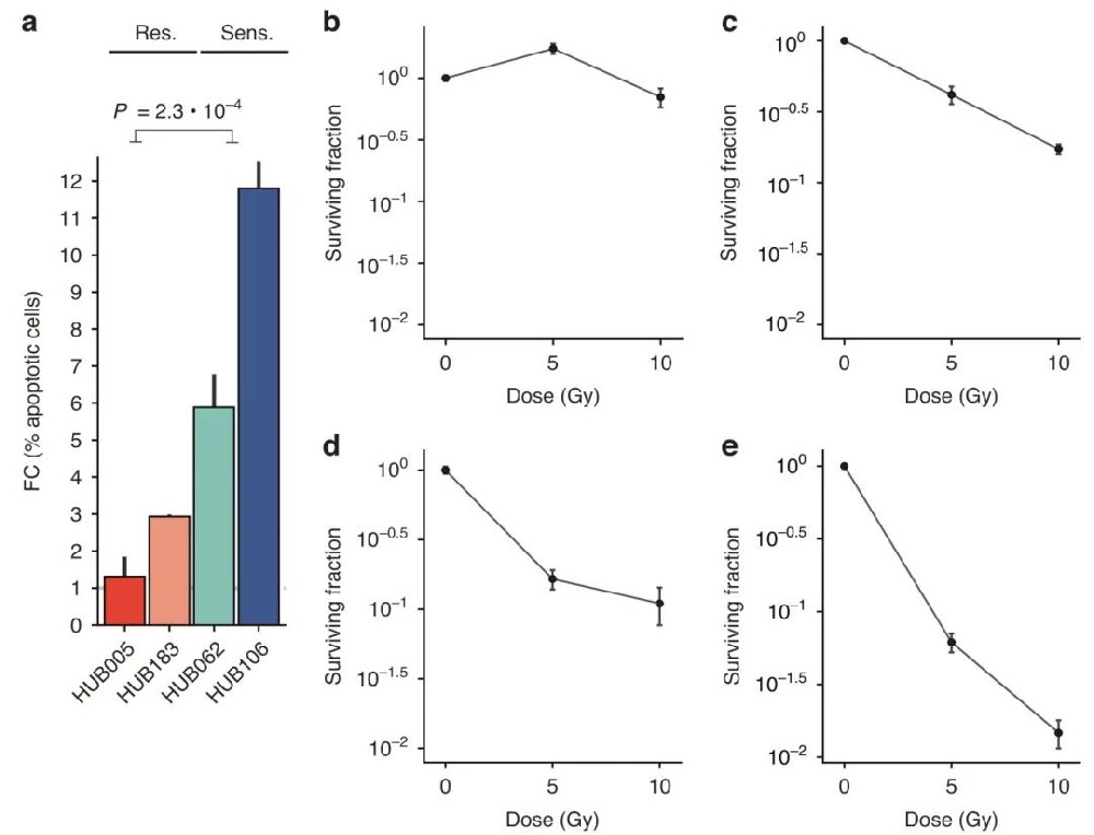 图1 基于流式细胞术的测量方法,用于测定在0和5 Gy下具有亚G1 DNA含量的(凋亡)细胞