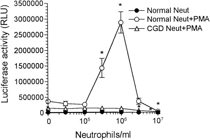 图1:中性粒细胞 + PMA 激活 HIV-1 LTR