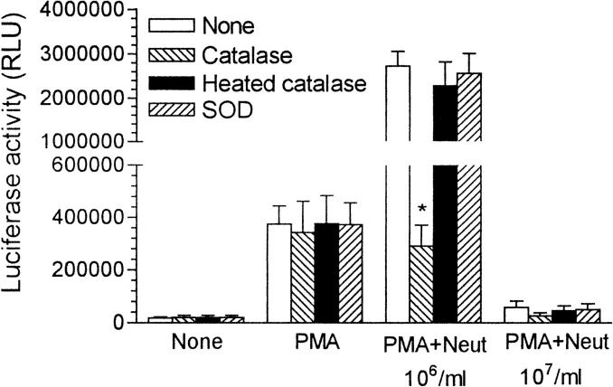 图3:过氧化氢酶抑制 LTR 激活