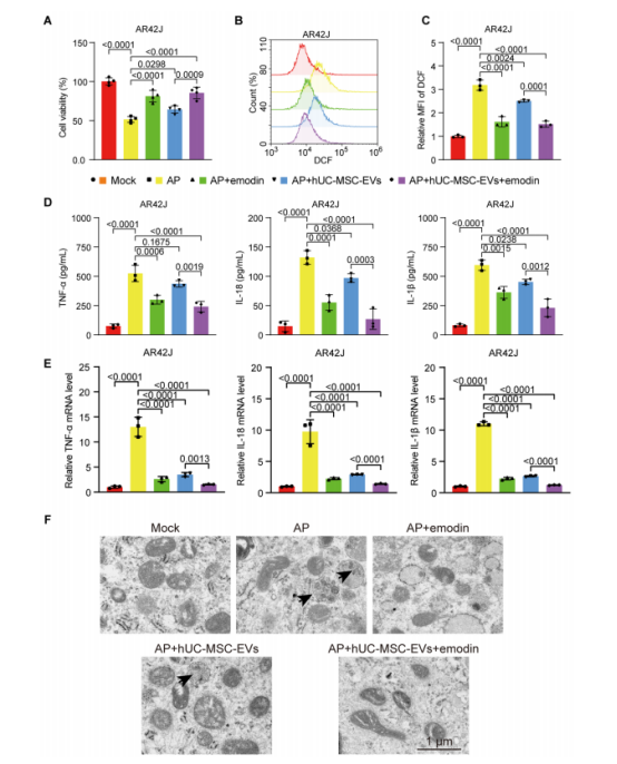 图1：埃莫丁增强人脐带间充质干细胞外泌体(hUC-MSC-EVs)促进AR42J细胞存活、抑制促炎细胞因子分泌及降低活性氧(ROS)水平的作用。
