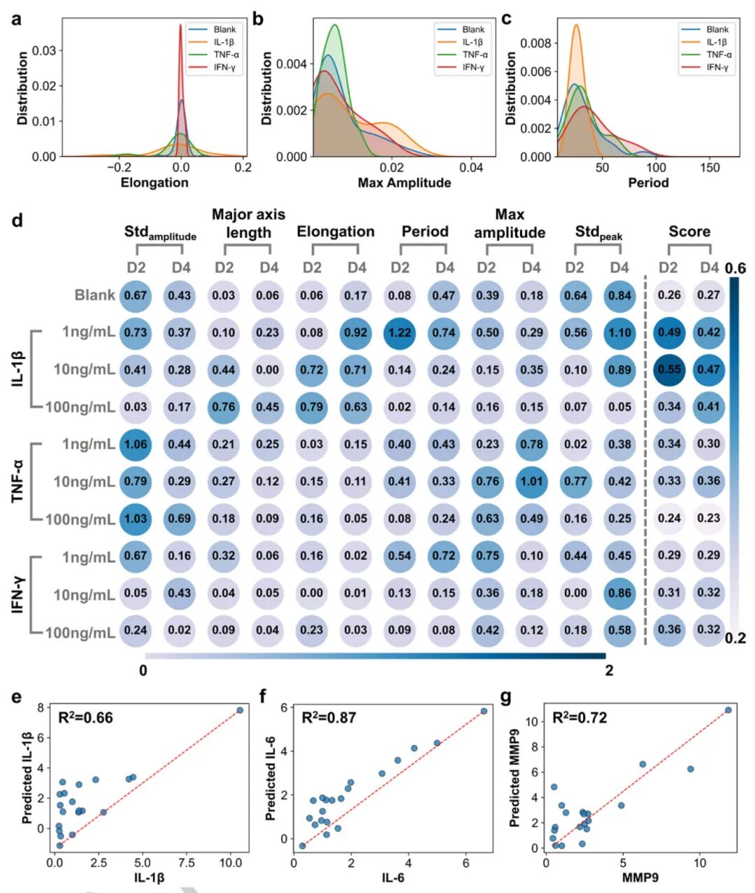 关键特征识别与炎症评分图示描述