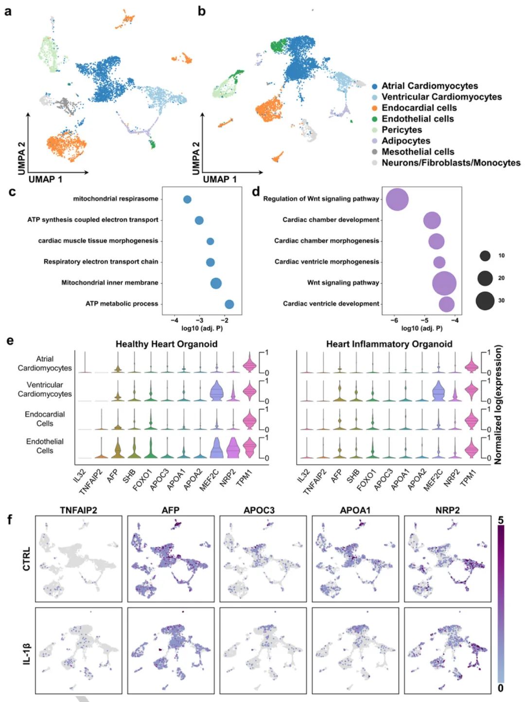 单核RNA测序分析图示描述
