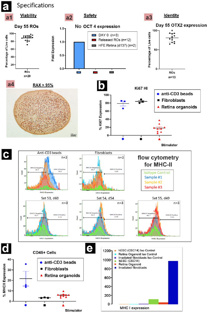 1，视网膜类器官的特性和免疫原性评估
