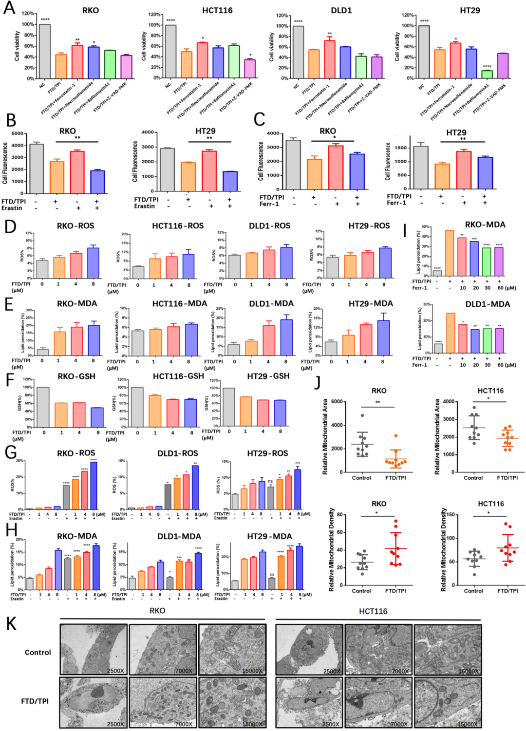 2，FTD/TPI通过多种细胞死亡途径诱导结直肠癌细胞死亡，尤其是铁死亡