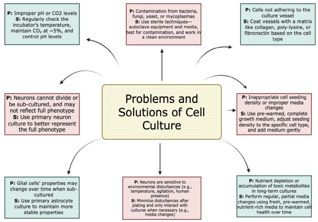 图 6：分离与培养中的问题及解决方案