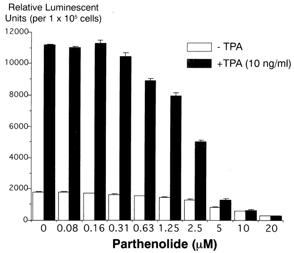 图3：小白菊内酯对 iNOS 启动子活性的剂量依赖性抑制