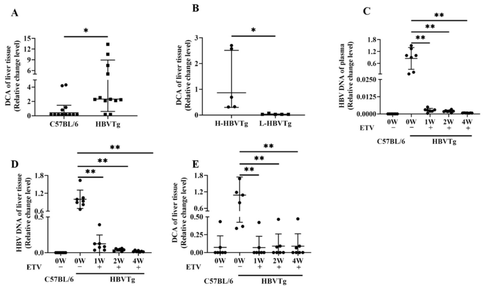 图4：HBV-Tg 小鼠肝脏 DCA 水平与 HBV 载量正相关