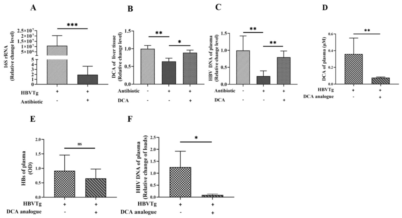 图5：肠道菌群来源 DCA 支持 HBV 复制