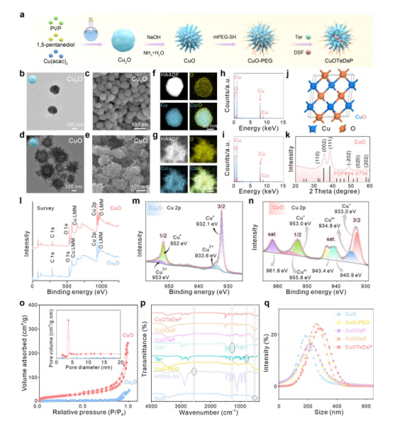 图2：CuOTeDsP的制备与表征