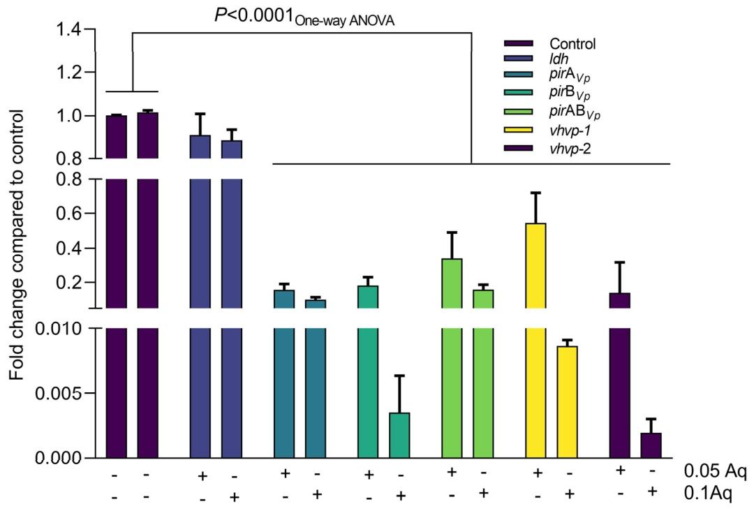 图 5：Aq 对 VpTPD 毒力基因表达的调控