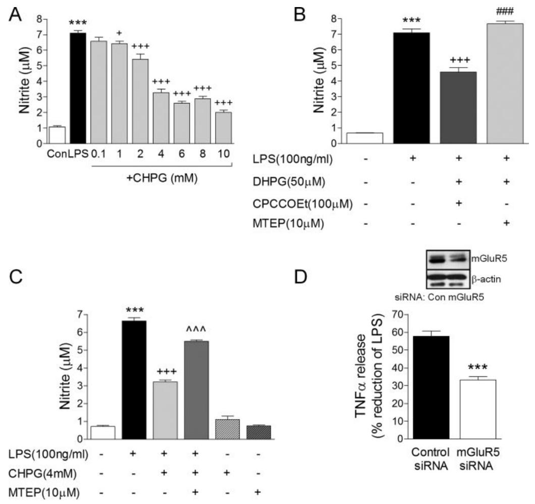 图 2：mGluR5 激活选择性抑制小胶质细胞激活