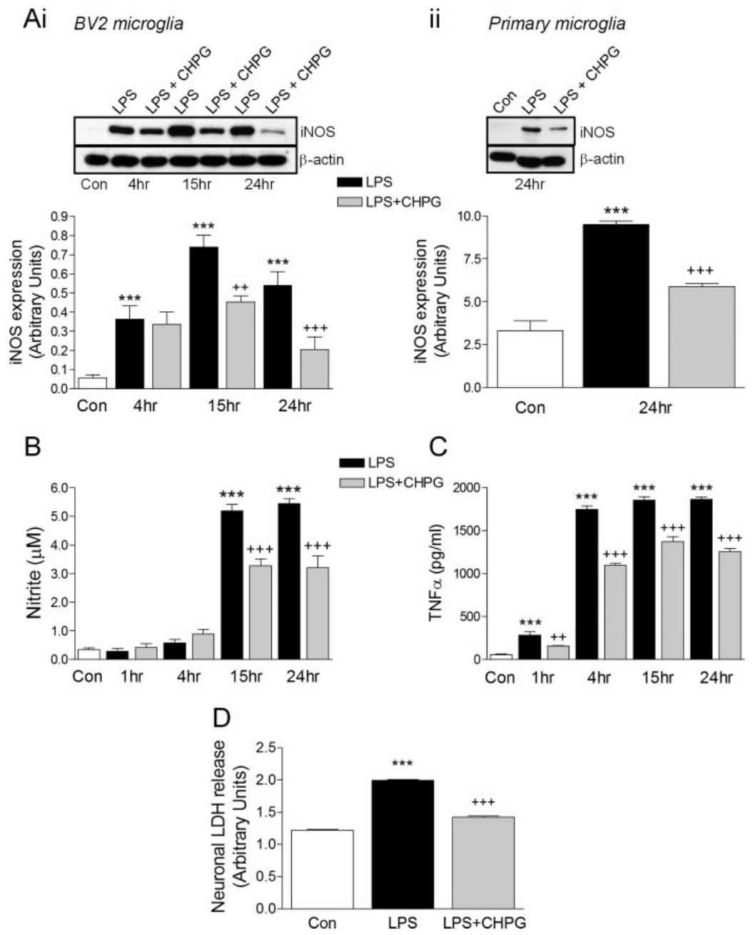 图 3：mGluR5 激活减少炎症介质释放及神经毒性