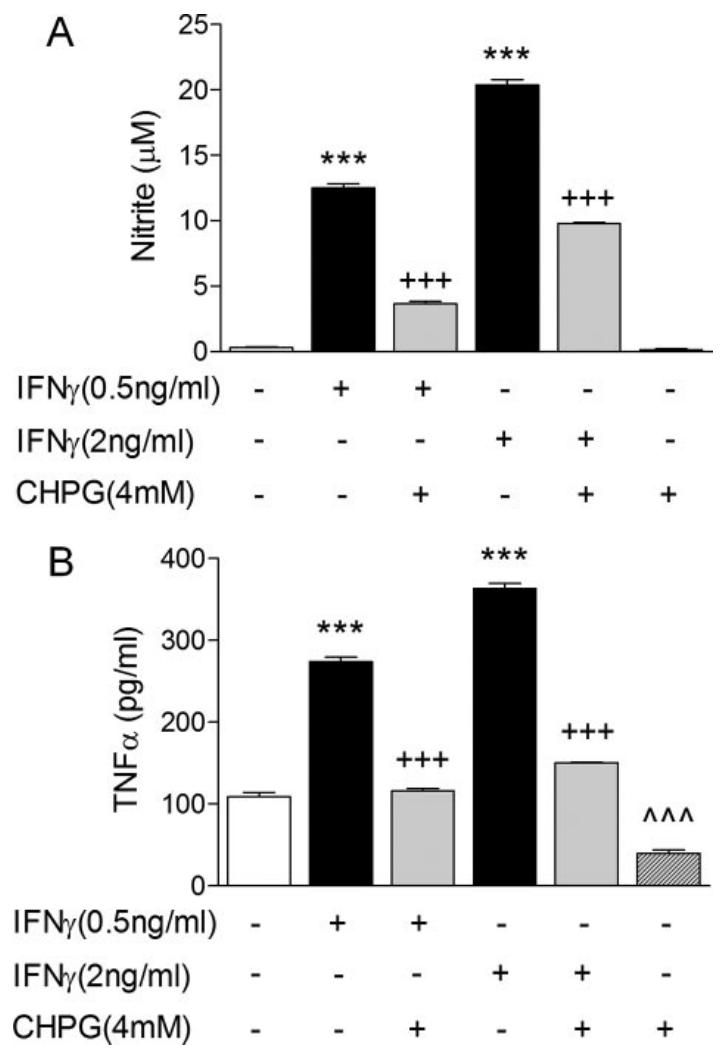 图 7：mGluR5 激活抑制 IFN-γ 诱导的小胶质细胞激活