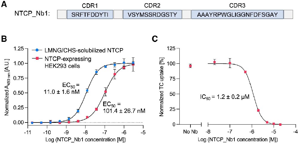 图1：纳米抗体 NTCP_Nb1 的功能表征