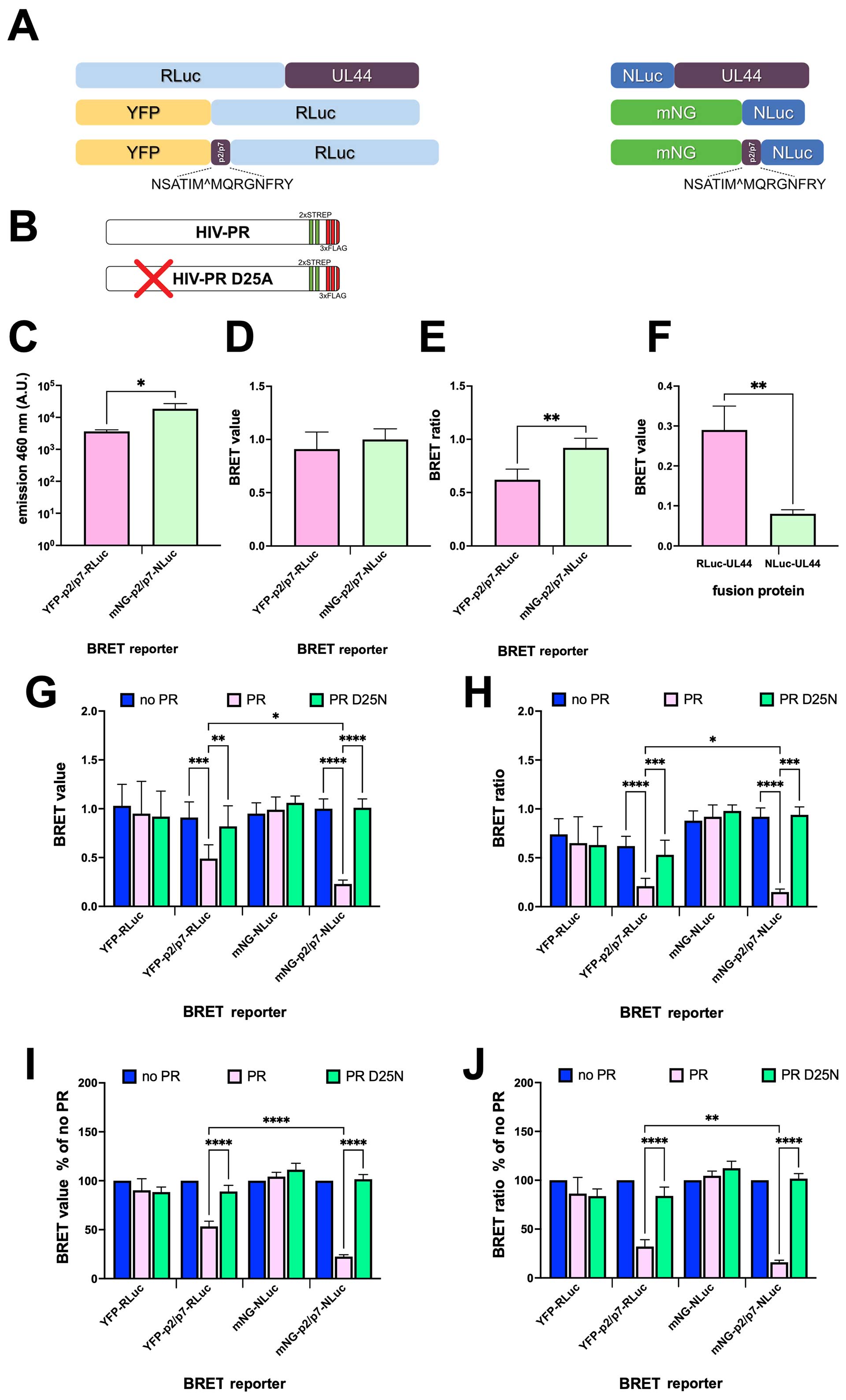 图2：两种报告基因的性能对比
