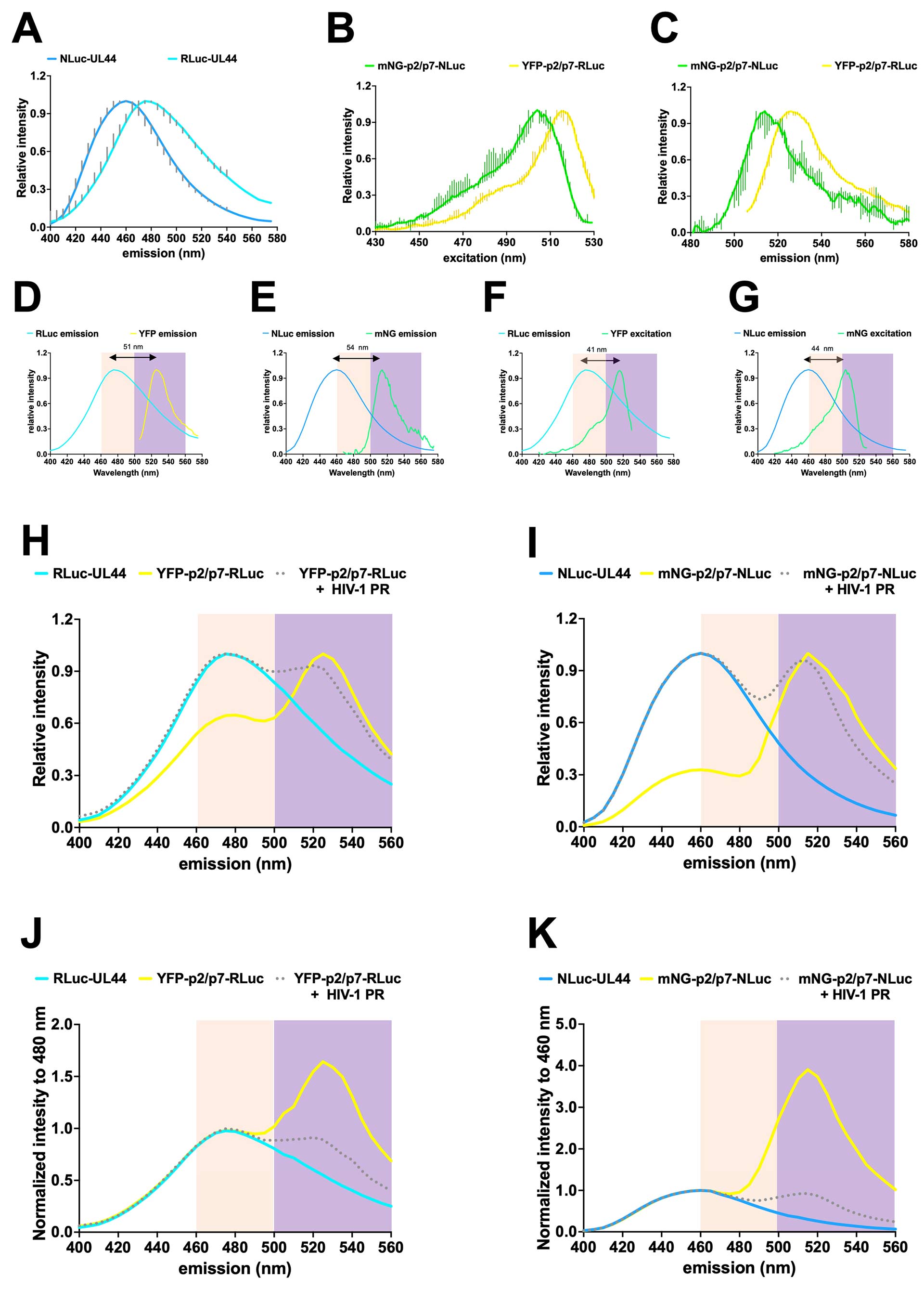 图3：报告基因的光谱详细分析