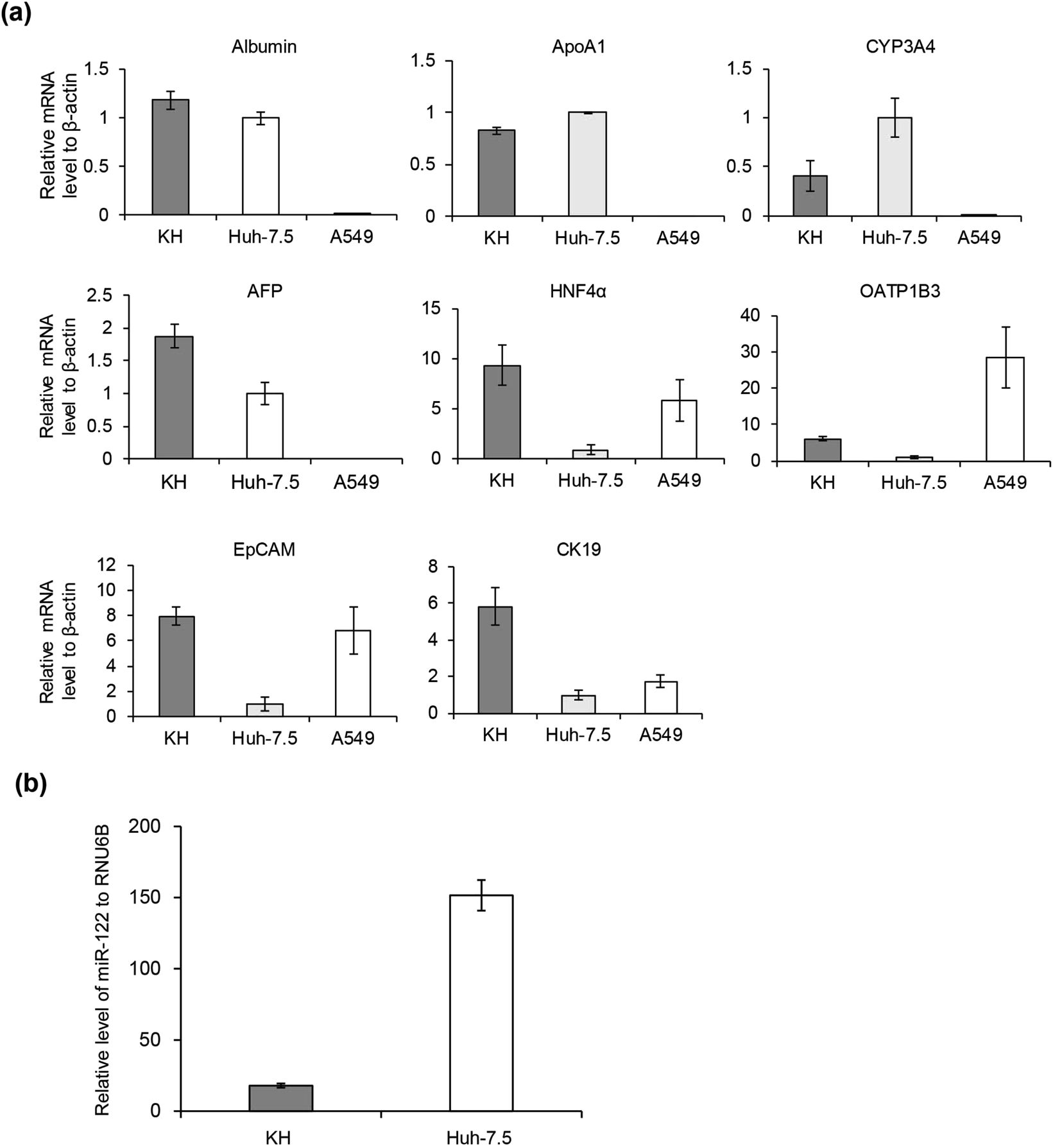 图2：原发肿瘤、Hep-X1 细胞及类器官的 HE 染色