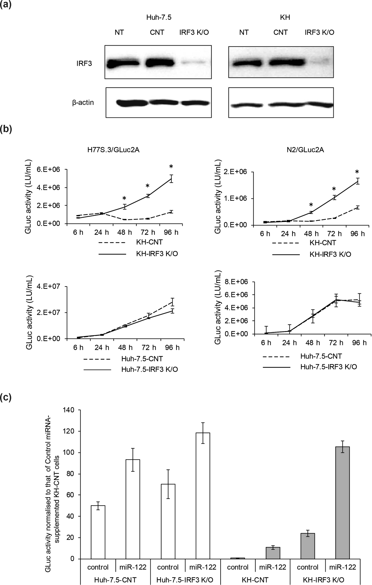 图8：Hep-X1 在 BALB/C 裸鼠中的成瘤性