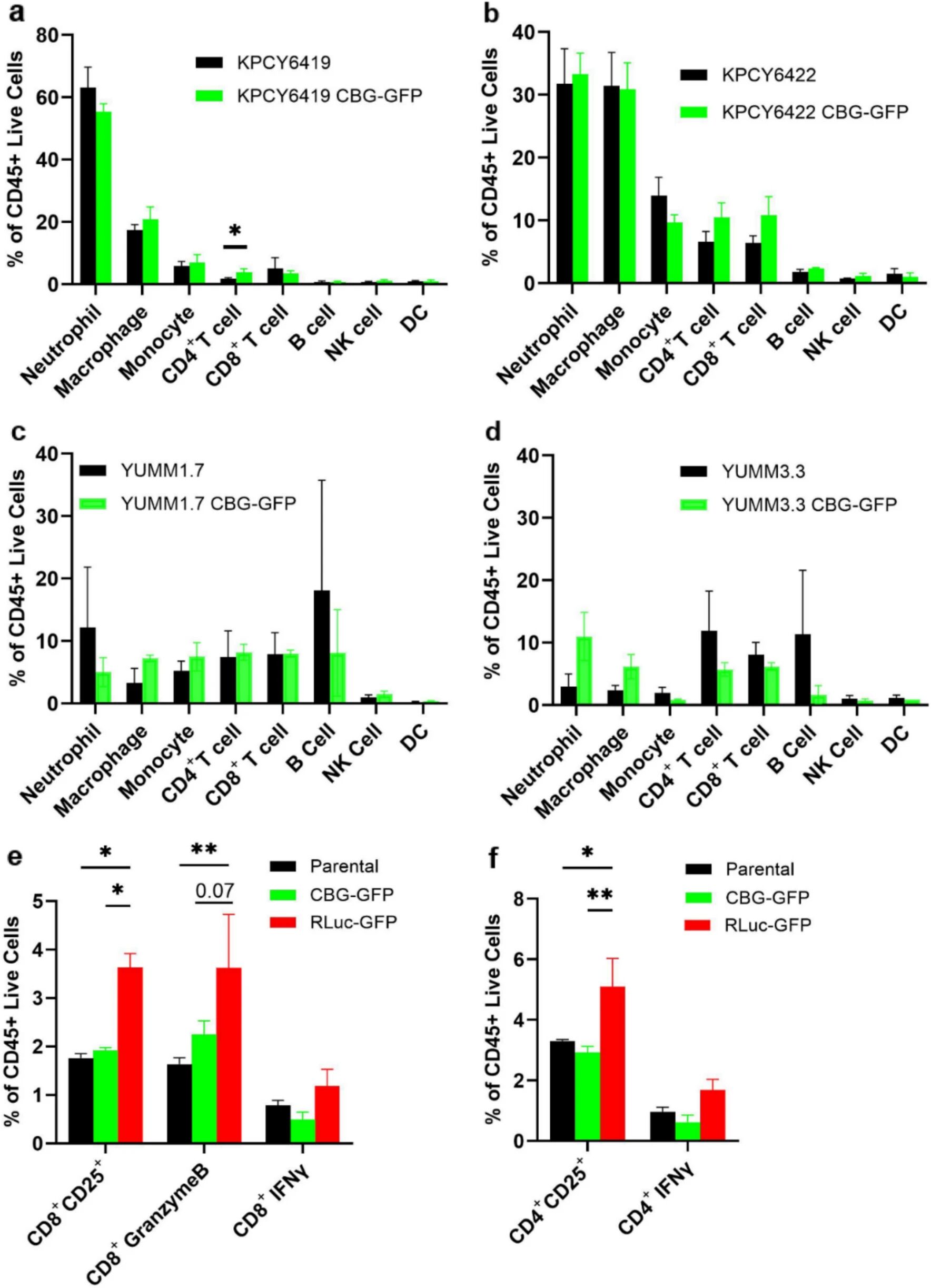 图5：报告基因对肿瘤免疫组成及 T 细胞激活的影响