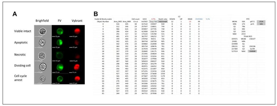 图 7：MPCVA 方法的细胞活力评估结果