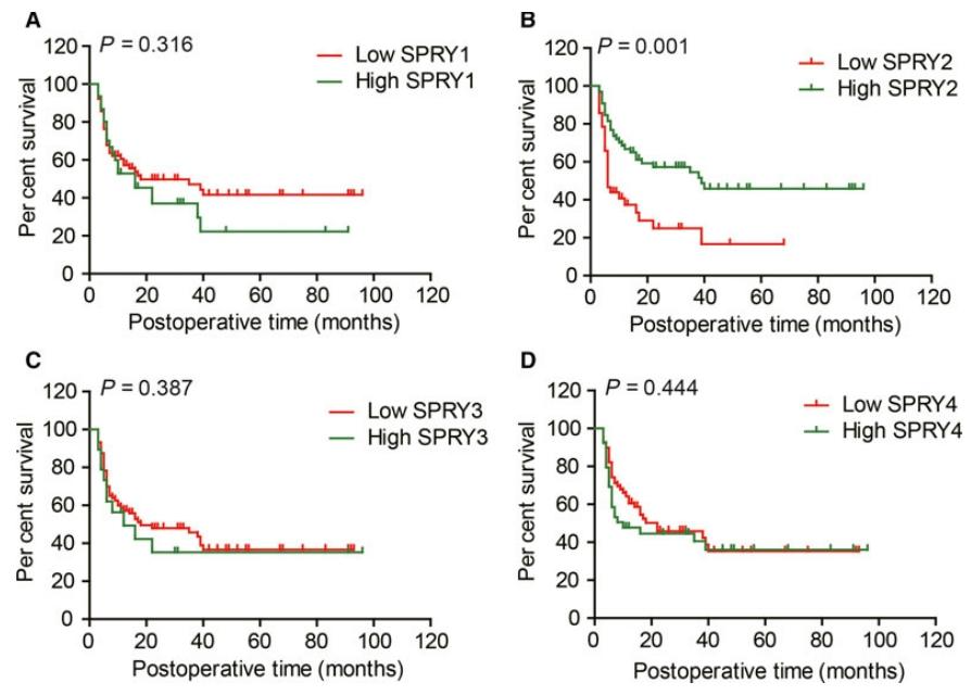 图2：SPRY 家族与 ICC 患者预后的关联