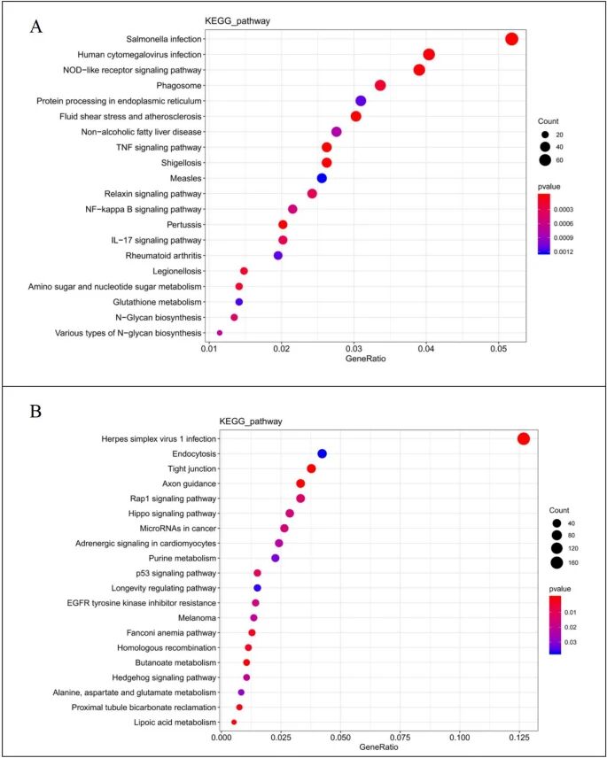 图6：ICC-X1 的转录组分析结果