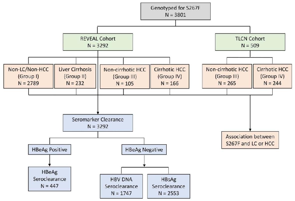 图 1：研究人群分组策略