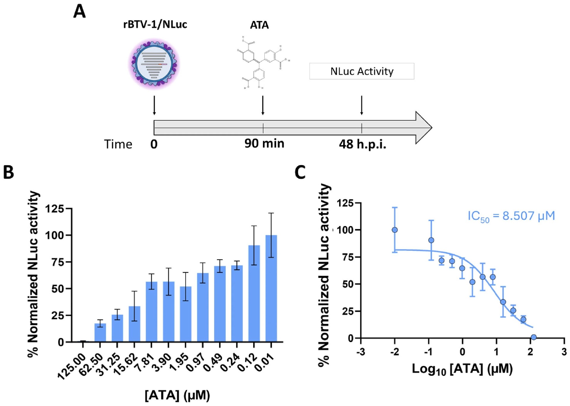 图 7：rBTV-1/NLuc 在抗病毒药物筛选中的应用