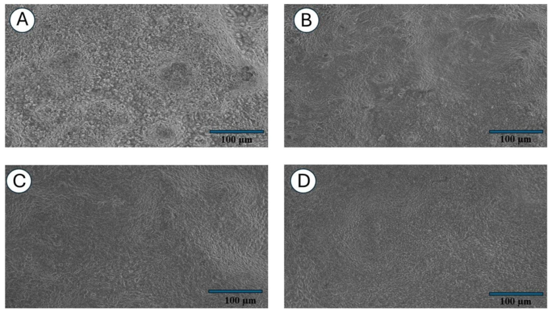 图 1：NHBECs 在 ALI 分化过程中的形态动态变化