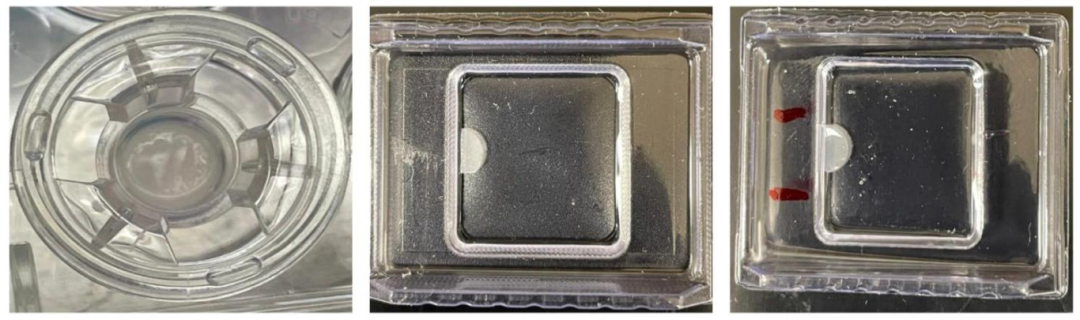 图 2：Transwell 膜的固定、冷冻保护与 OCT 包埋流程