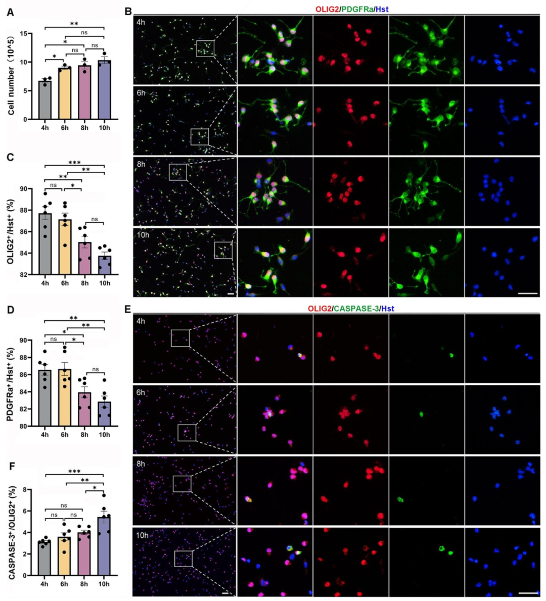 图 3：摇瓶时间优化(6h 最佳)