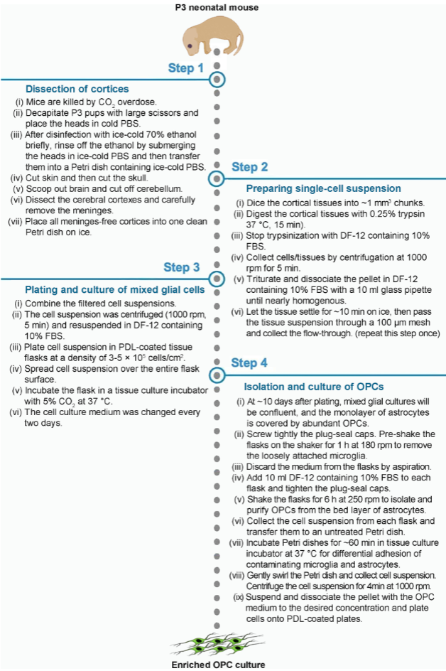 图 8：完整实验流程示意图