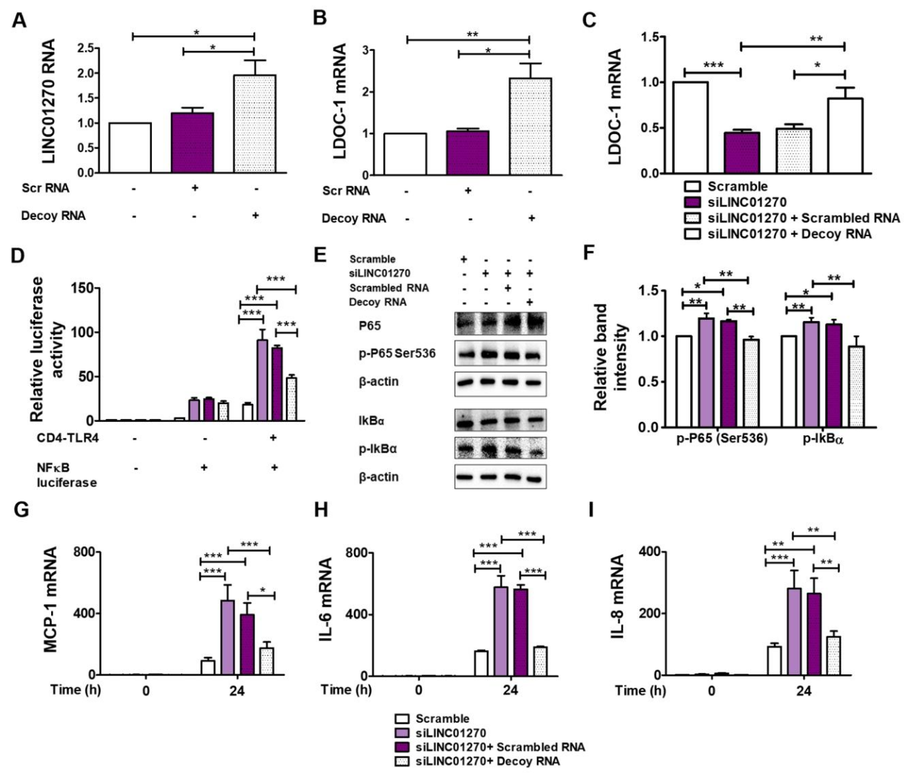 图 5：模拟 miR-326 结合位点的 decoy RNA 逆转 LINC01270 沉默的炎症加剧效应