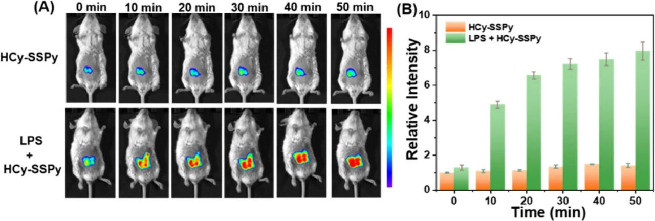 图 6：炎症小鼠体内(H₂S)成像