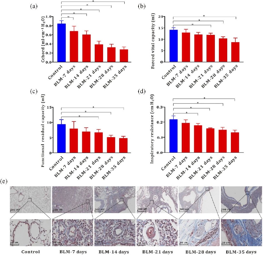 图 1：博来霉素诱导大鼠肺功能进行性损伤及胶原沉积