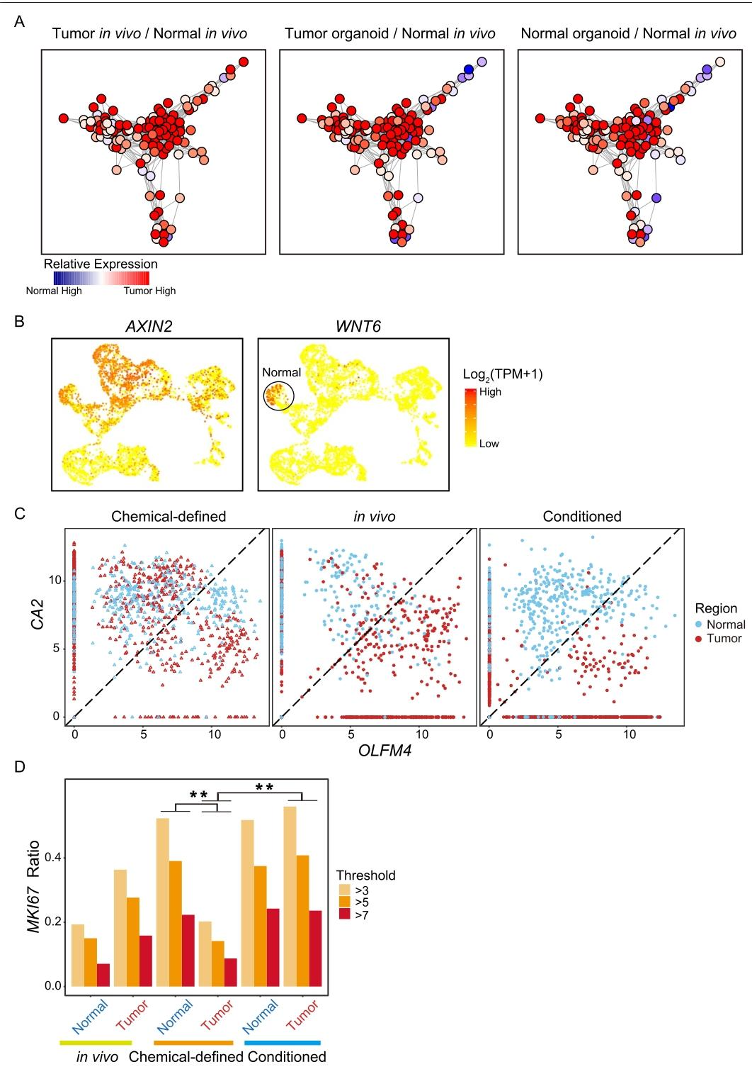 图 3：两种培养基的转录组差异