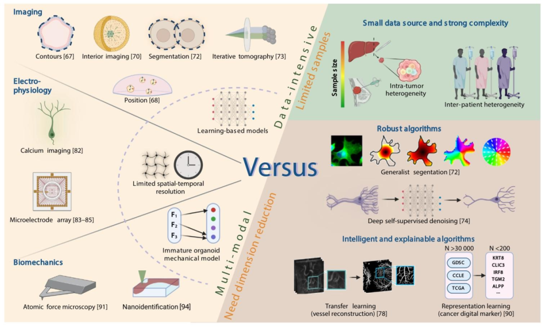图 3：多模态评估与数据限制的矛盾