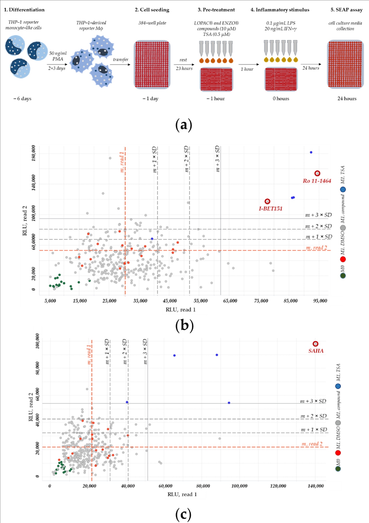图 3：CEBPD调控化合物的高通量筛选流程与结果