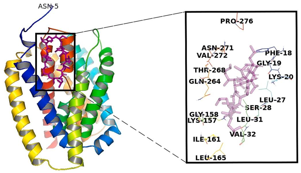 图 7：环孢素 A(CsA)与 NTCP 的相互作用模式
