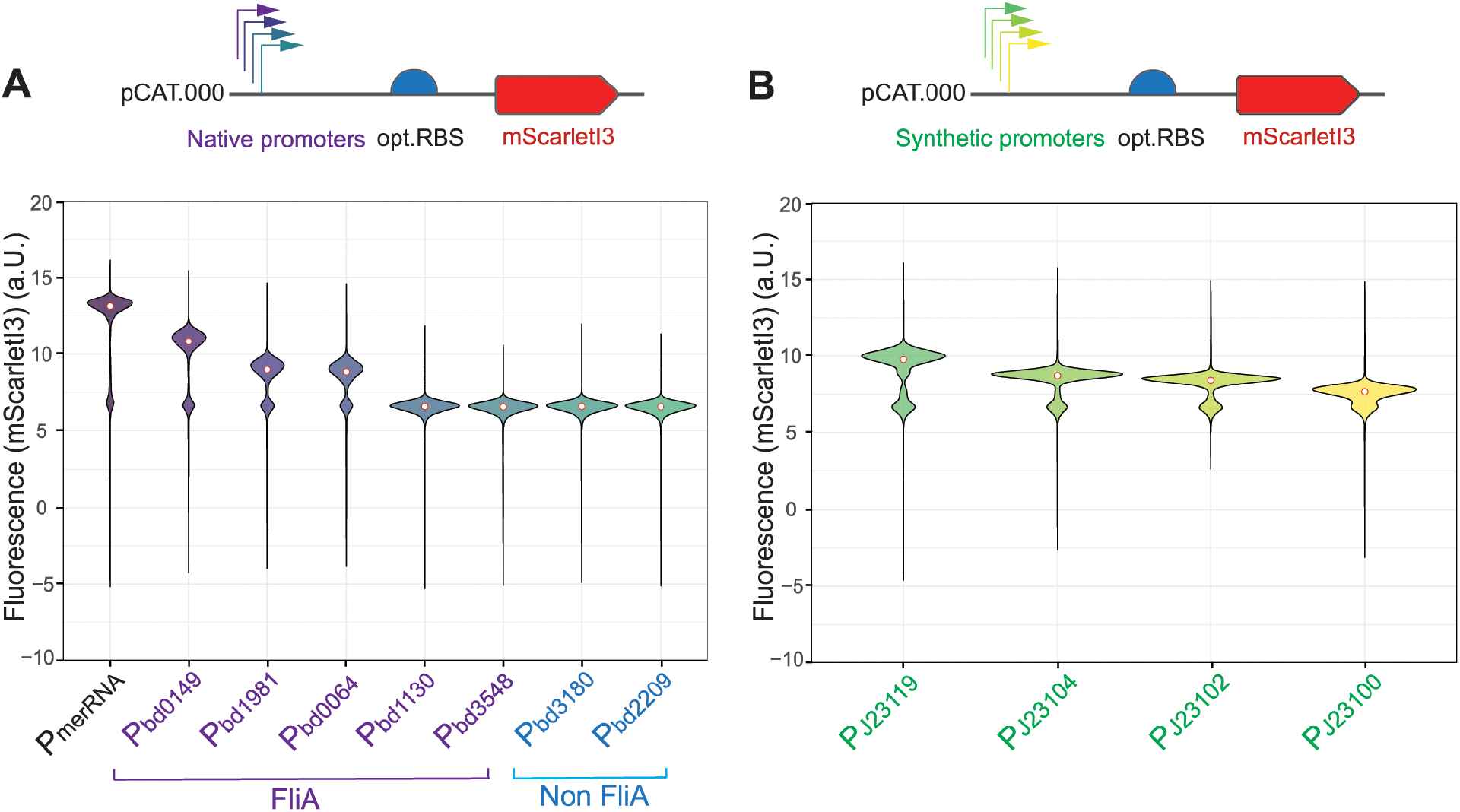 图 2:天然与合成启动子的表达水平差异