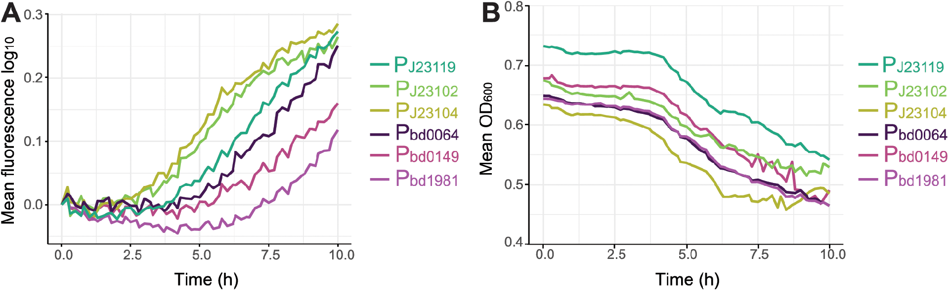 图 3:启动子在捕食周期中的时间动态表达