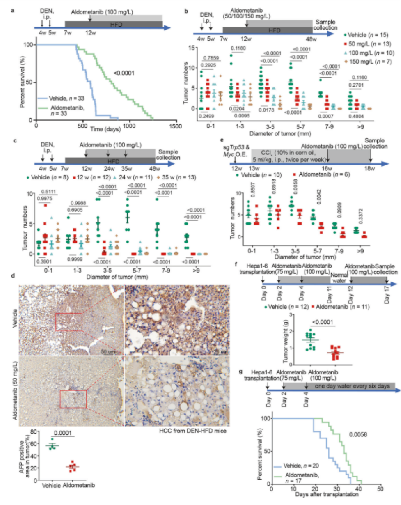 图1 Aldometanib抑制 HCC