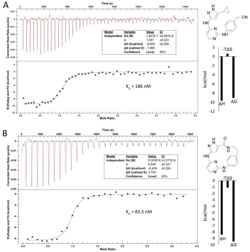 图 3：化合物的酶活与选择性表征