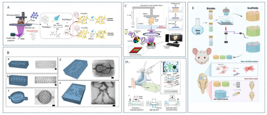图 2:挤出式生物打印的应用