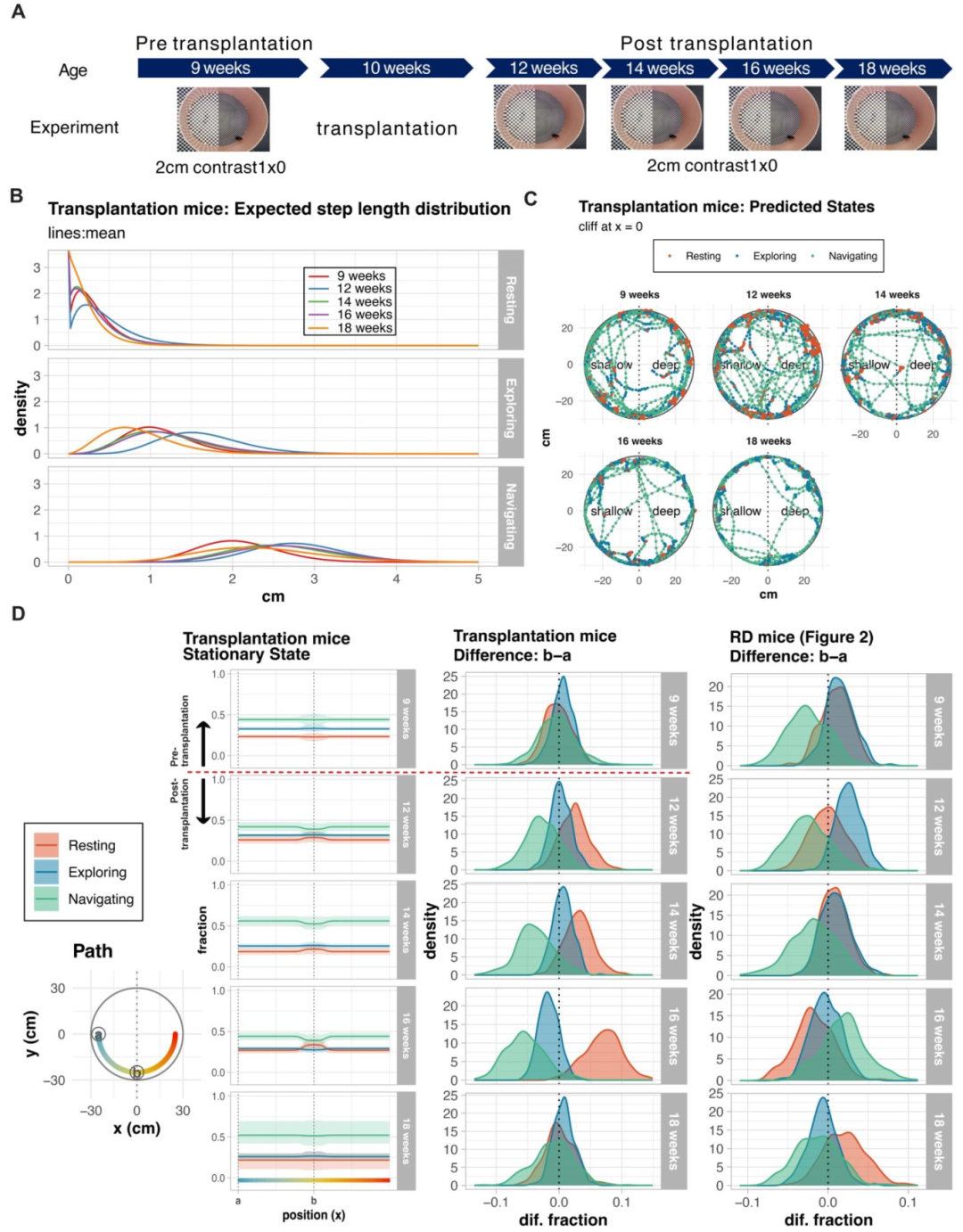 图 4:移植后视觉功能恢复