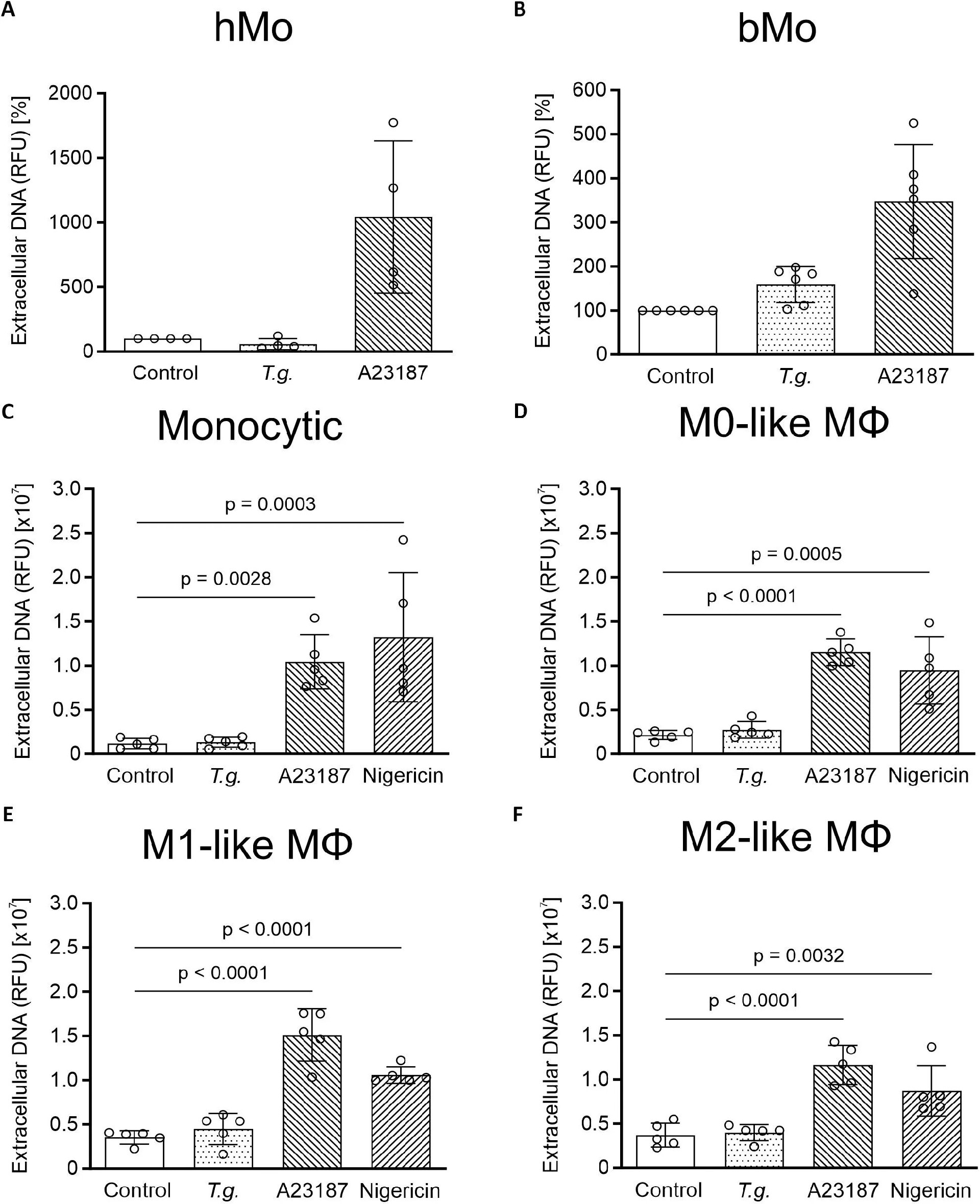 图 4:胞外 DNA 含量检测