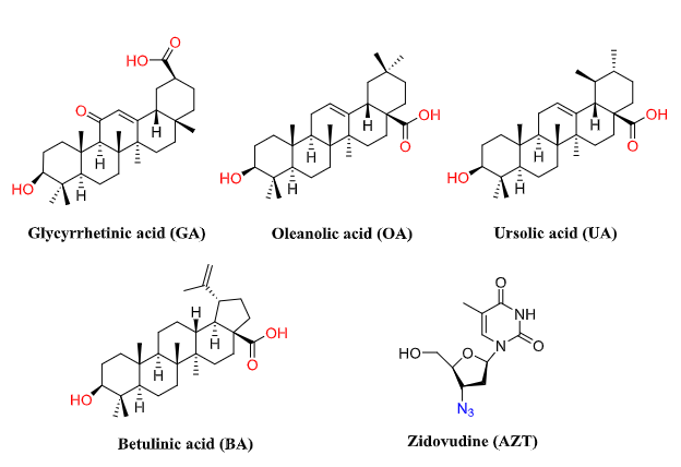图1：五环三萜与齐多夫定的代表性结构及共轭物合成示意图